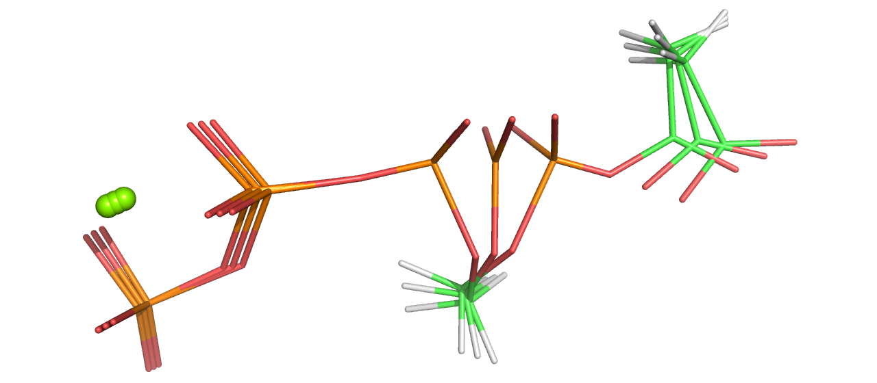 transition state model of amino acid adenylation
