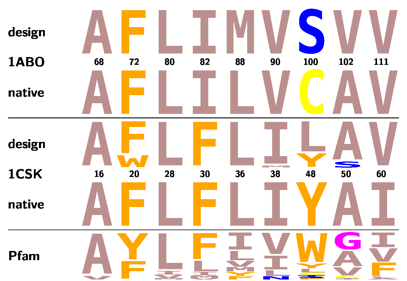 sequence design of SH3 domain cores